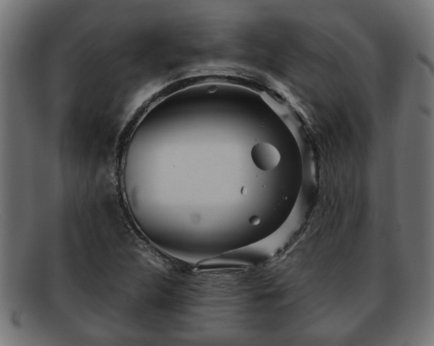 X0000091981312200709131404