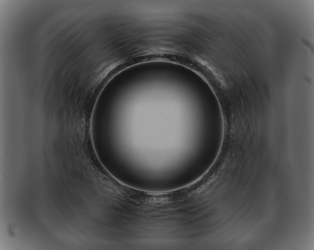 X0000091981313200709131404