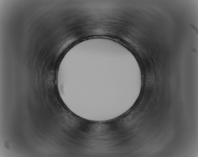 X0000091981314200709131404