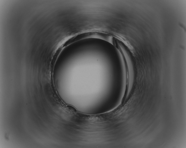 X0000091981316200709131404