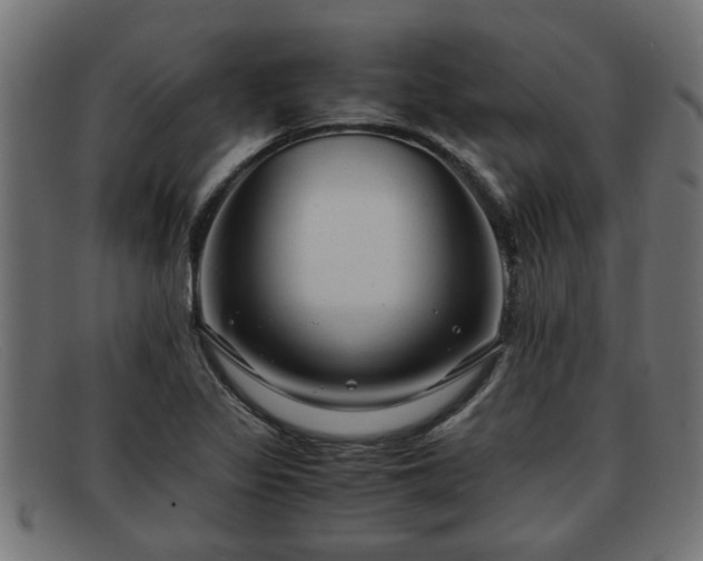 X0000091981317200709131404