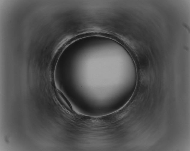 X0000091981318200709131404