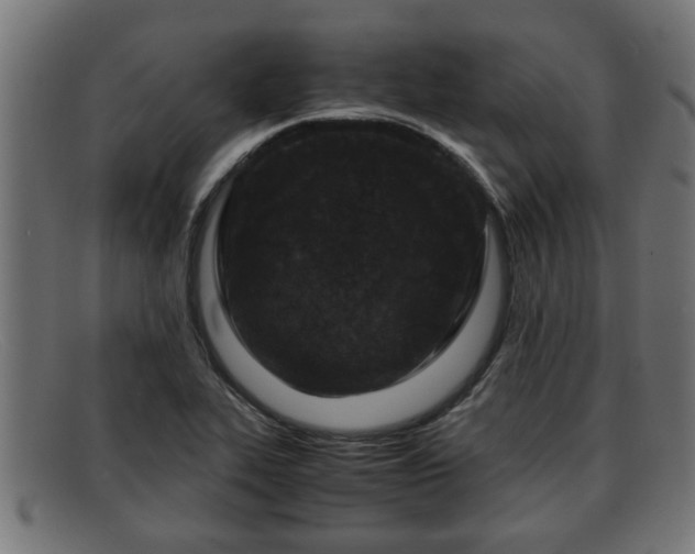 X0000091981319200709131404