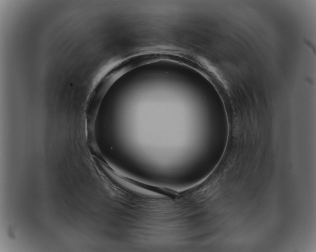 X0000091981320200709131404