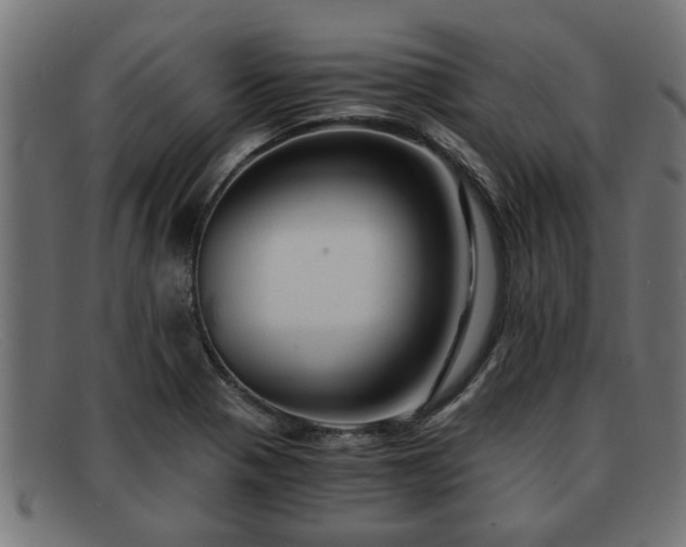 X0000091981321200709131404