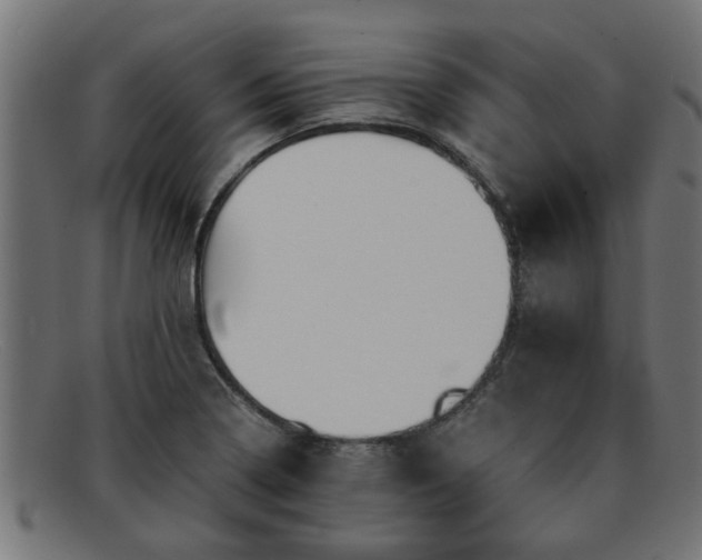 X0000091981322200709131404