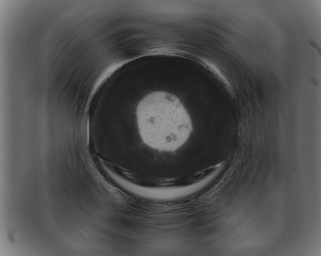 X0000091981323200709131404