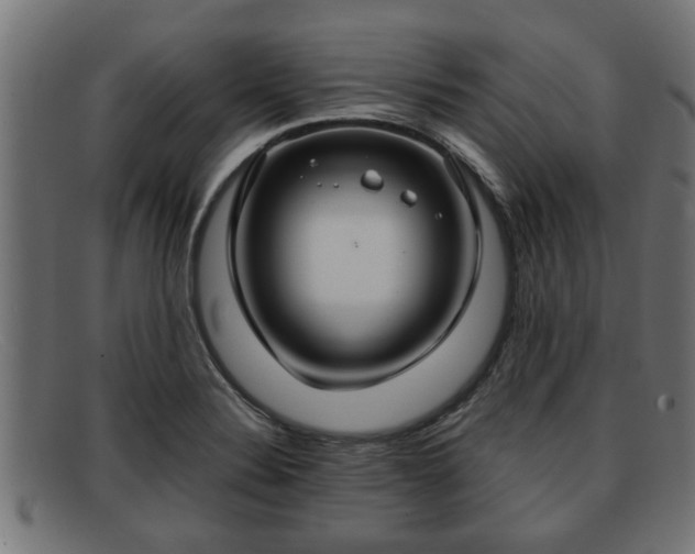 X0000091981324200709131404