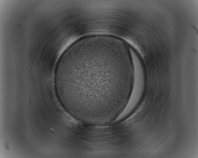 X0000091981325200709131404