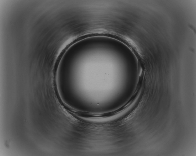 X0000091981326200709131404