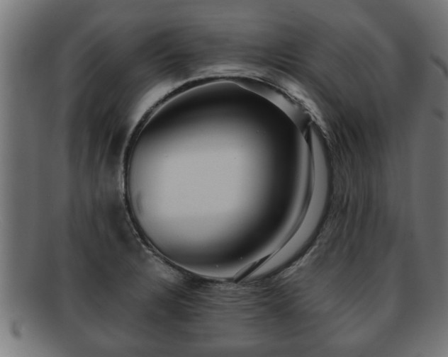 X0000091981328200709131404