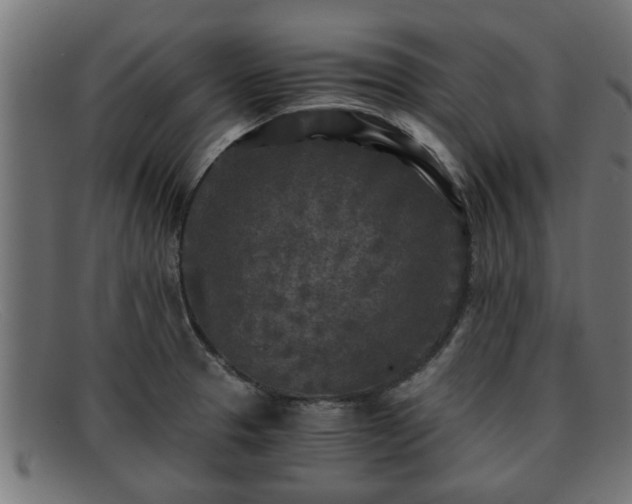 X0000091981329200709131404