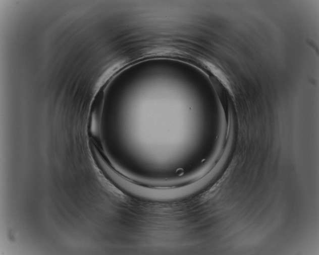 X0000091981330200709131404