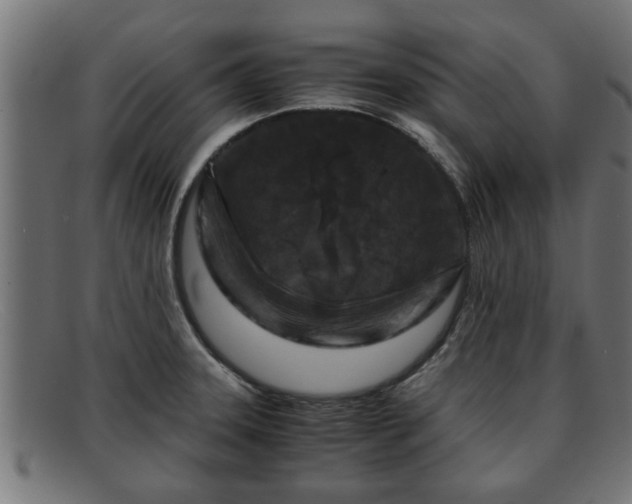 X0000091981331200709131405