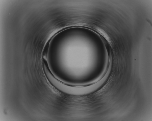 X0000091981332200709131405