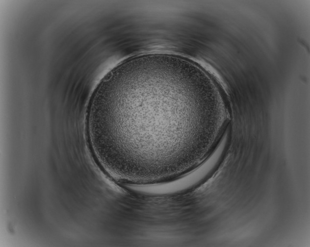 X0000091981333200709131405