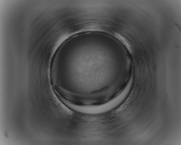 X0000091981334200709131405