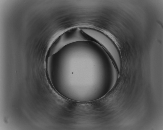 X0000091981335200709131405