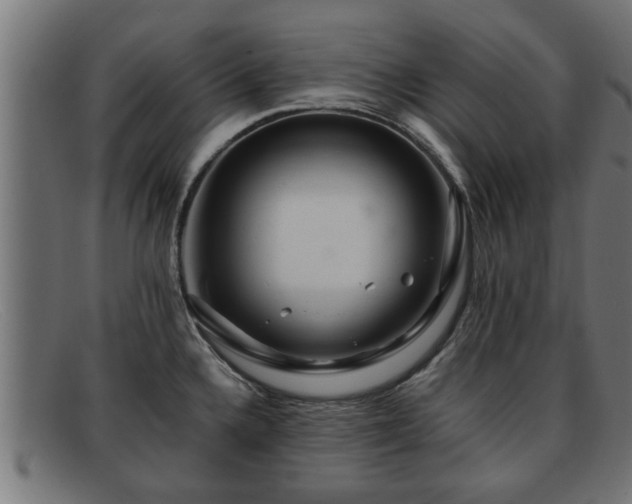 X0000091981336200709131405