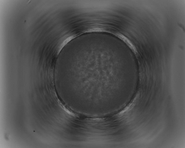 X0000091981337200709131405