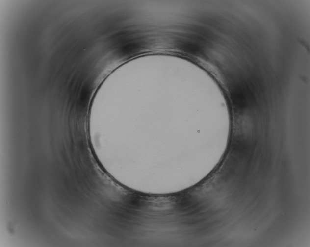 X0000091981338200709131405