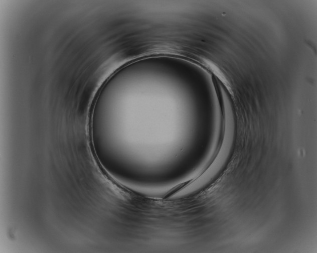 X0000091981339200709131405