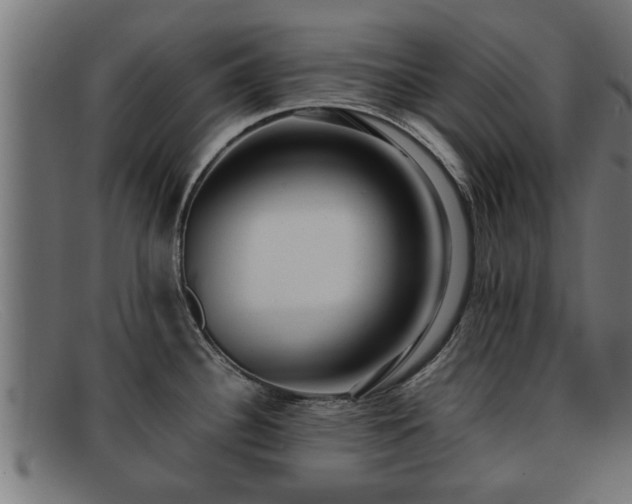 X0000091981340200709131405