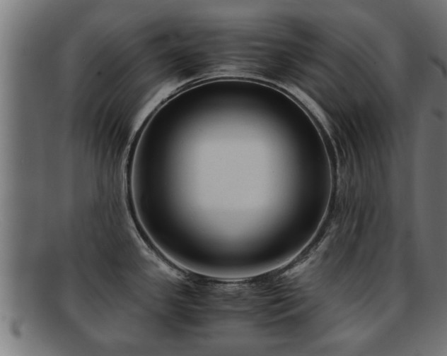 X0000091981341200709131405