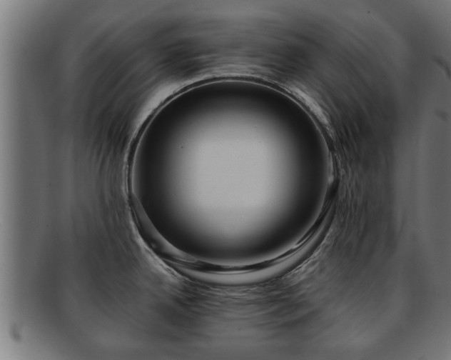 X0000091981342200709131405