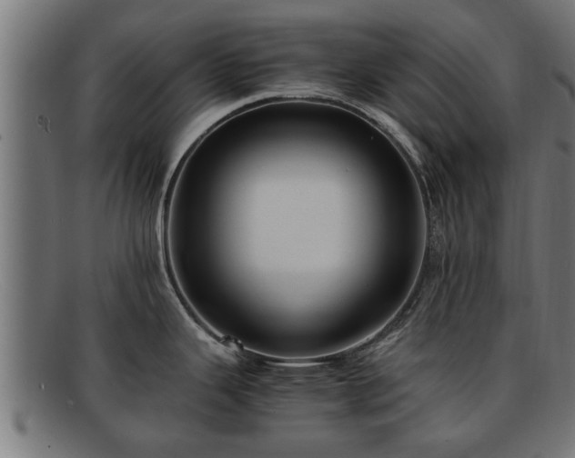 X0000091981343200709131405