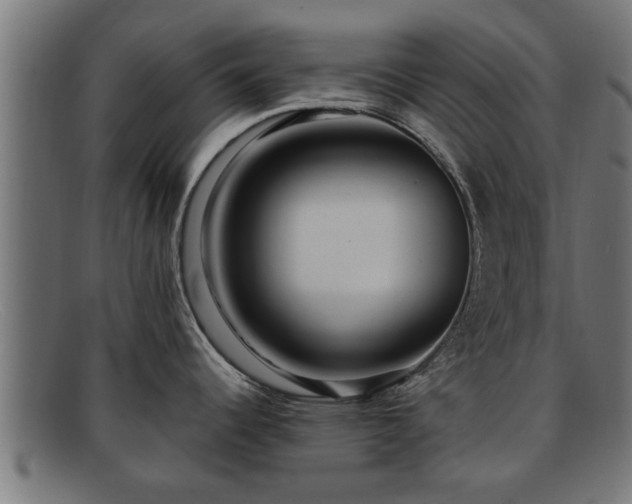 X0000091981344200709131405