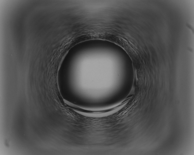 X0000091981345200709131404