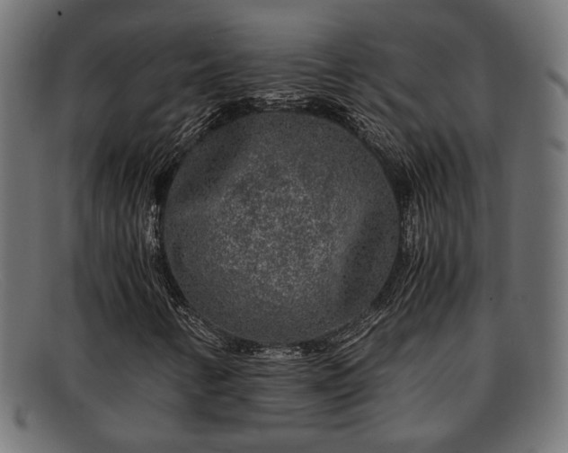 X0000091981346200709131404