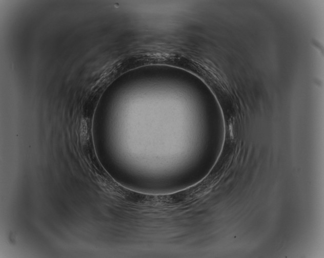 X0000091981347200709131404