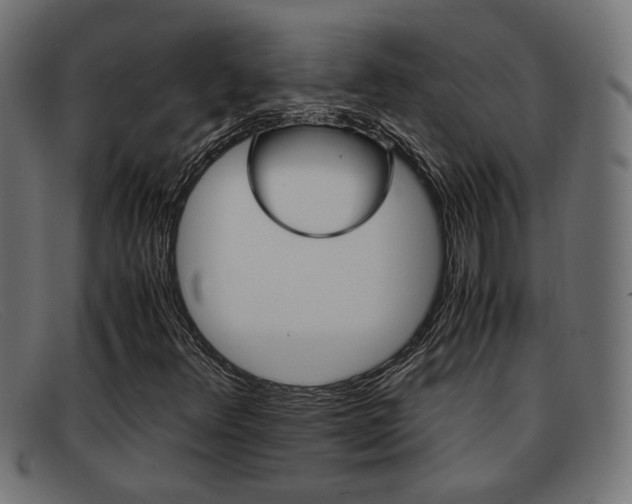 X0000091981348200709131404