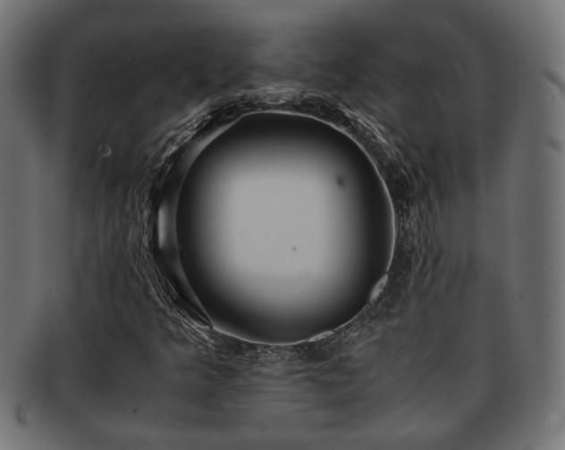 X0000091981349200709131404