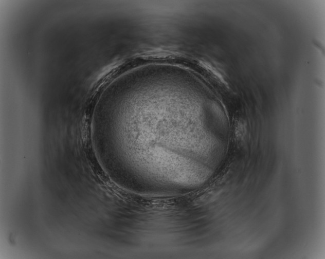 X0000091981350200709131404