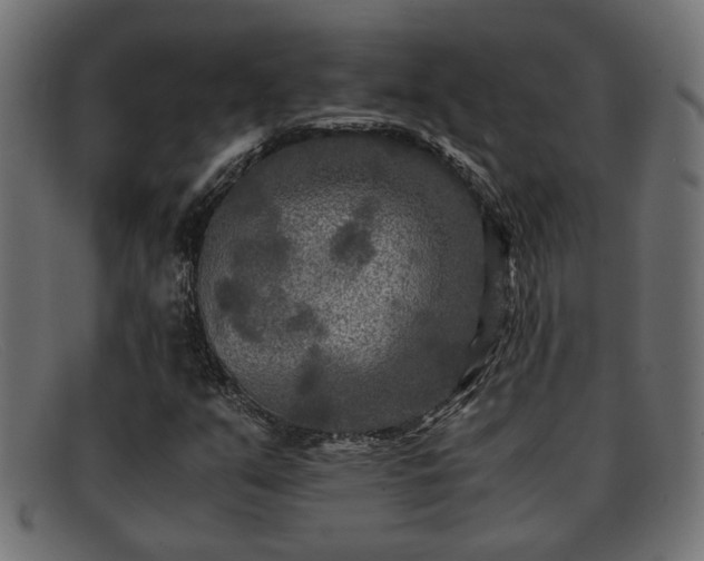 X0000091981351200709131404