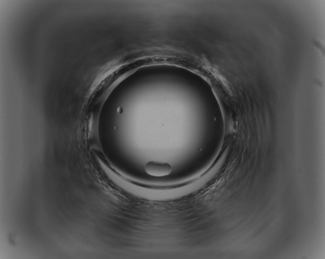 X0000091981352200709131404