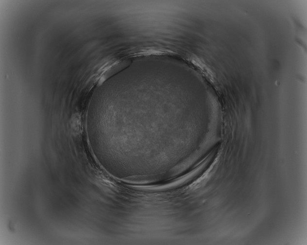 X0000091981353200709131404