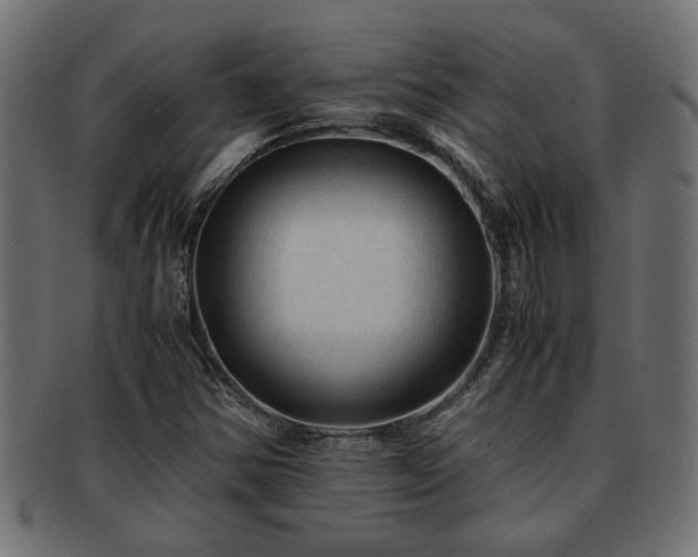 X0000091981354200709131404