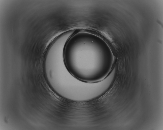 X0000091981356200709131404