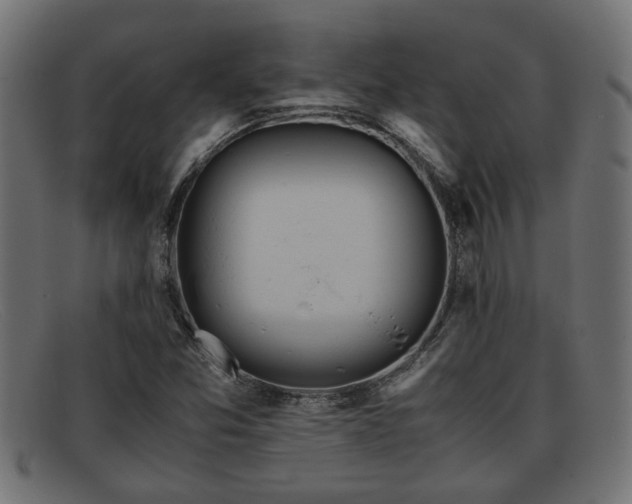 X0000091981357200709131404