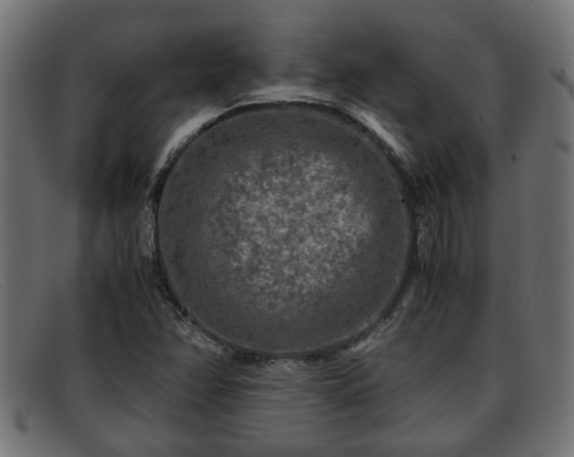 X0000091981358200709131404