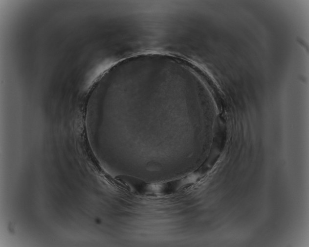 X0000091981359200709131404