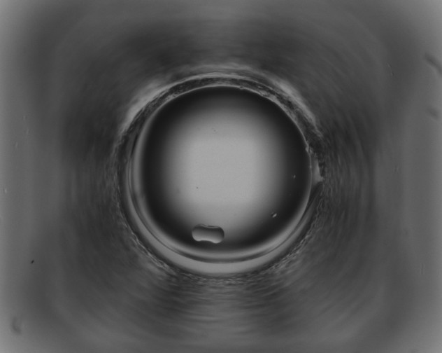 X0000091981360200709131404