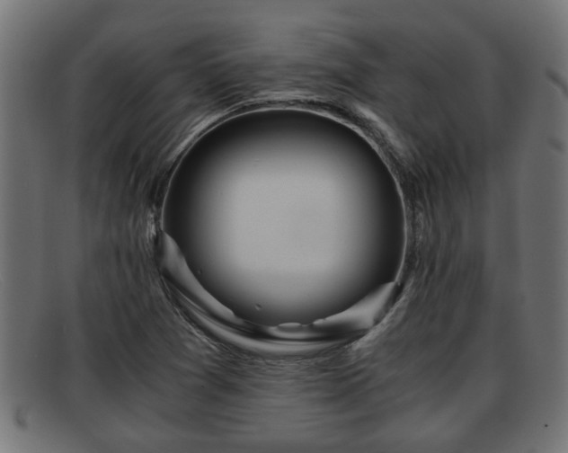 X0000091981361200709131404