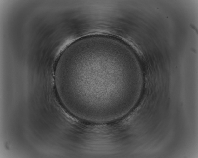 X0000091981363200709131404