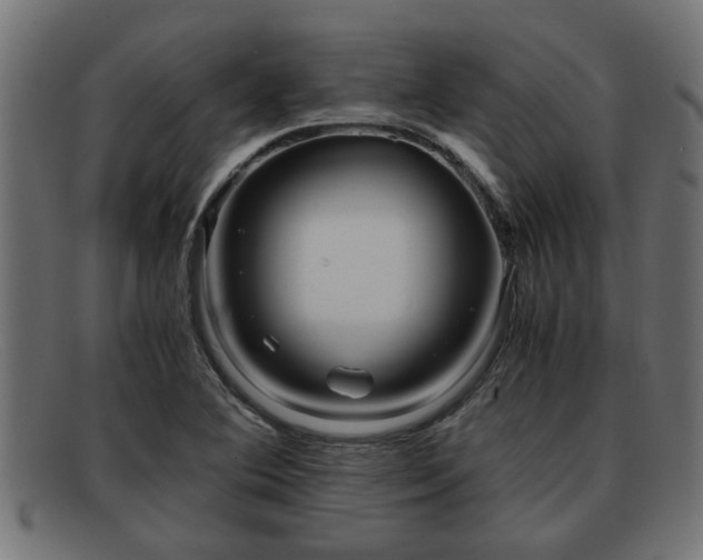 X0000091981364200709131404