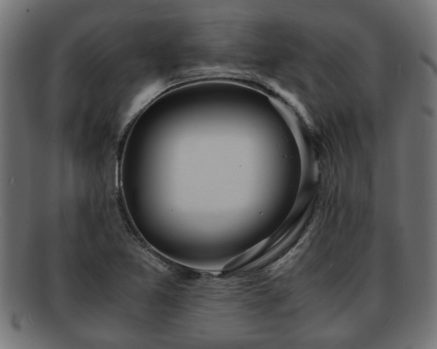 X0000091981365200709131404